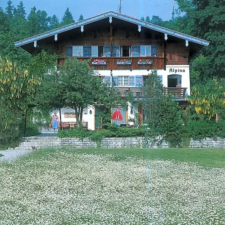 Stoll's Alpina 3*